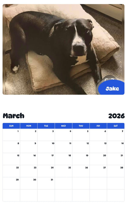 November 2025 - October 2026 Jake - Pawidols Pet Calendar