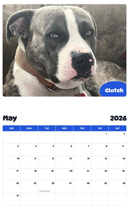 2026 - 2027 Clutch - Pawidols Pet Calendar
