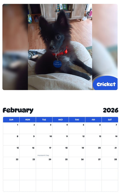 October 2025 - September 2026 Cricket - Pawidols Pet Calendar