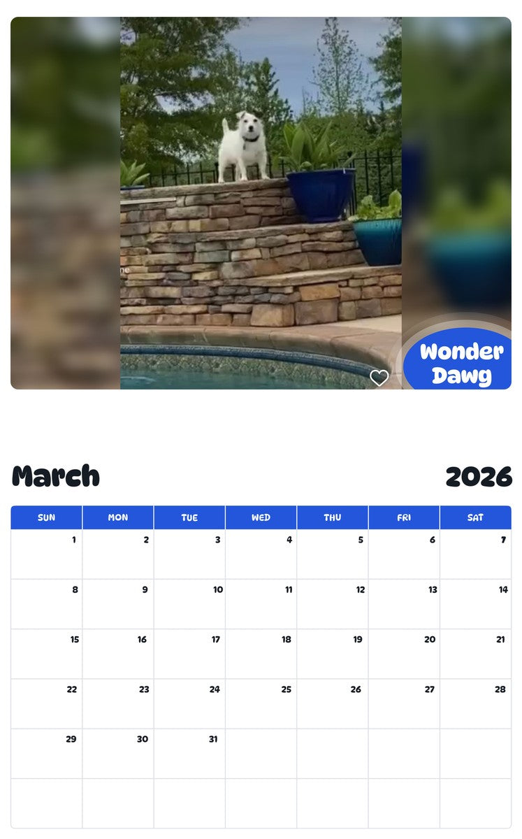 November 2025 - October 2026 Wonder Dawg - Pawidols Pet Calendar