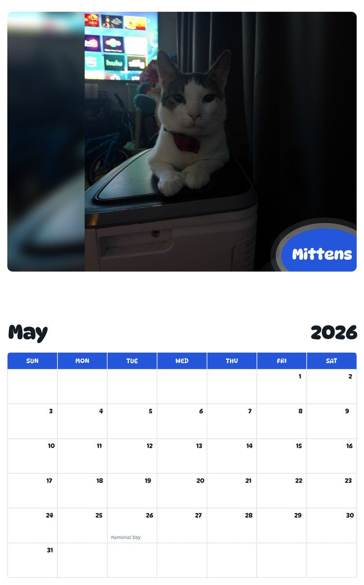 2026 - 2027 Mittens - Pawidols Pet Calendar