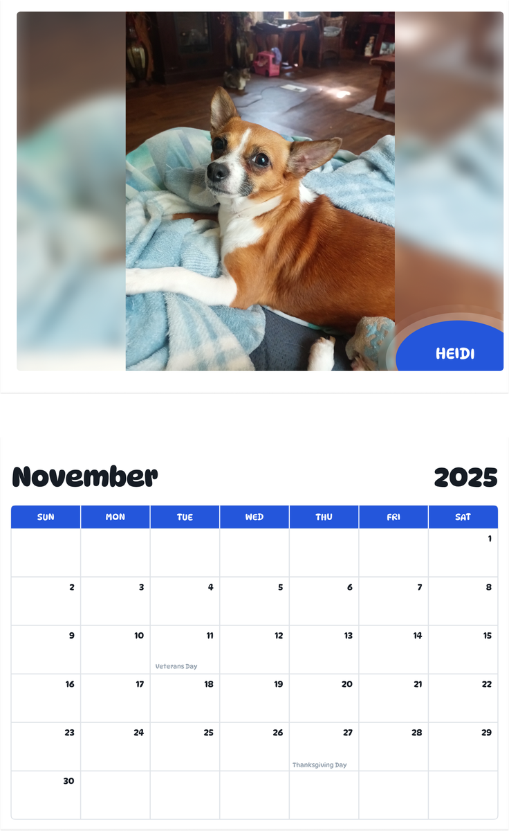 July 2025 - June 2026 Heidi - Pawidols Pet Calendar