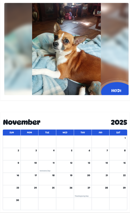 July 2025 - June 2026 Heidi - Pawidols Pet Calendar