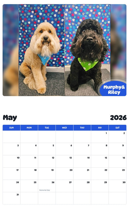 2026 - 2027 Murphy& Riley - Pawidols Pet Calendar