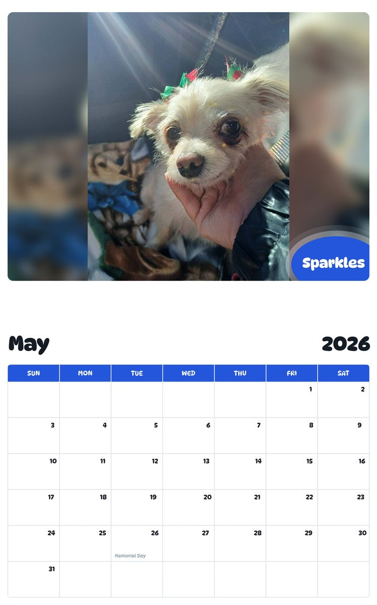 2026 - 2027 Sparkles - Pawidols Pet Calendar
