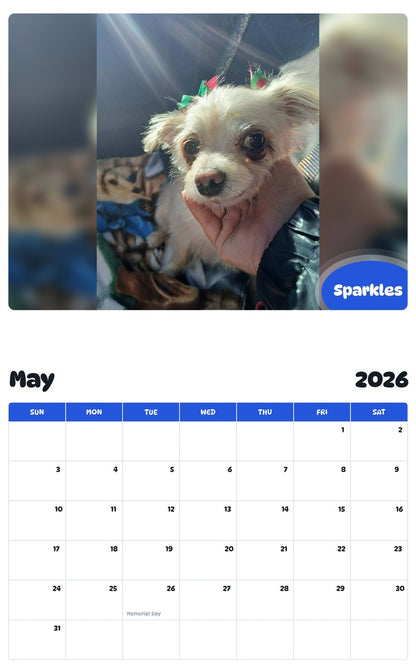 2026 - 2027 Sparkles - Pawidols Pet Calendar