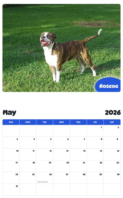 2026 - 2027 Roscoe - Pawidols Pet Calendar