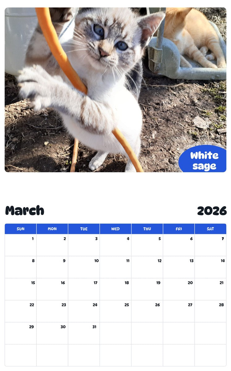November 2025 - October 2026 White sage - Pawidols Pet Calendar