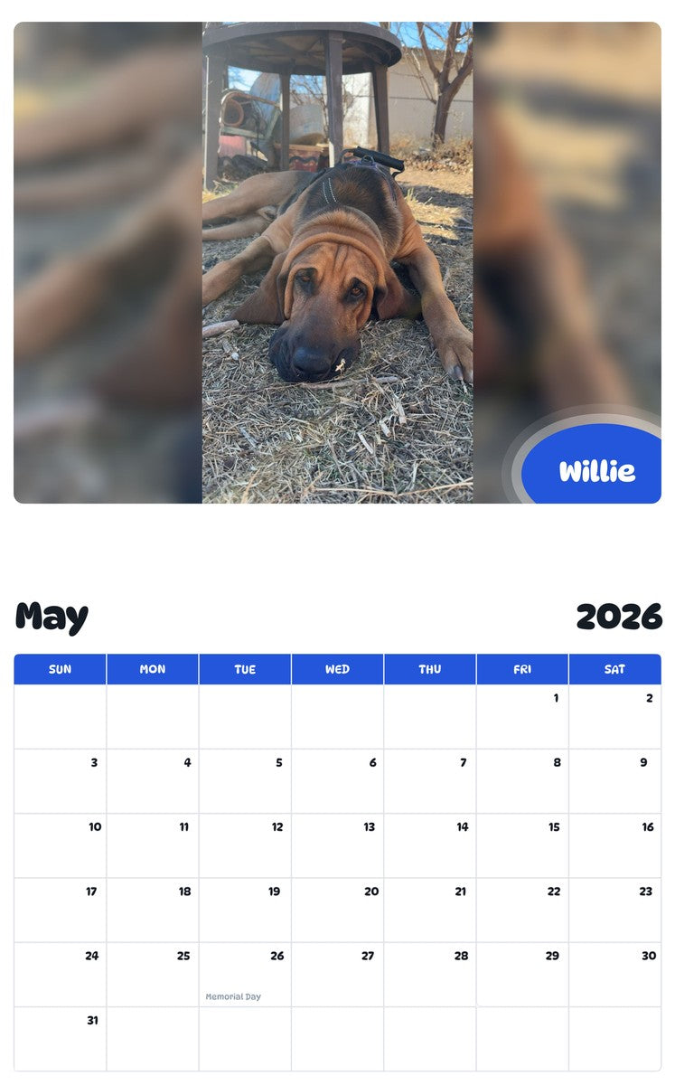 2026 - 2027 Willie - Pawidols Pet Calendar