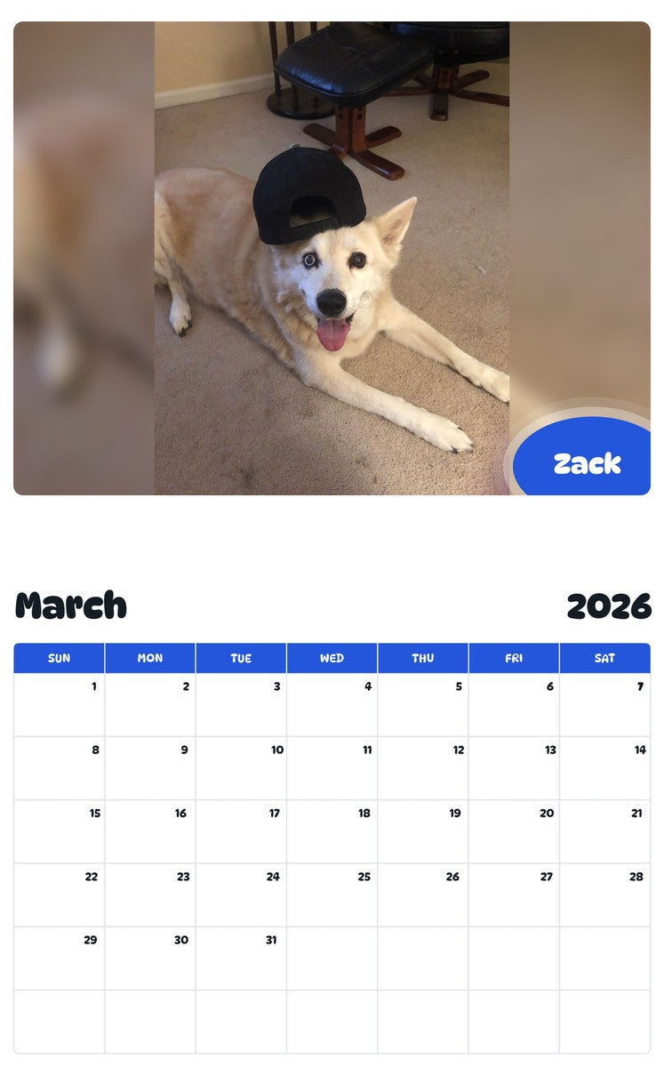 November 2025 - October 2026 Zack - Pawidols Pet Calendar