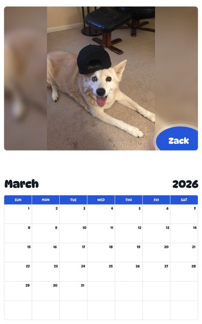November 2025 - October 2026 Zack - Pawidols Pet Calendar