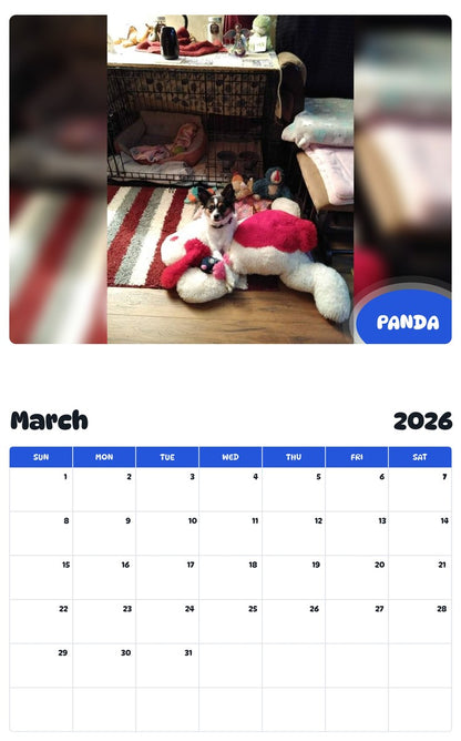 November 2025 - October 2026 PANDA - Pawidols Pet Calendar