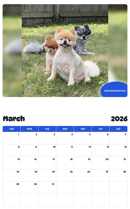 November 2025 - October 2026 Brady, Bentley and Louie - Pawidols Pet Calendar