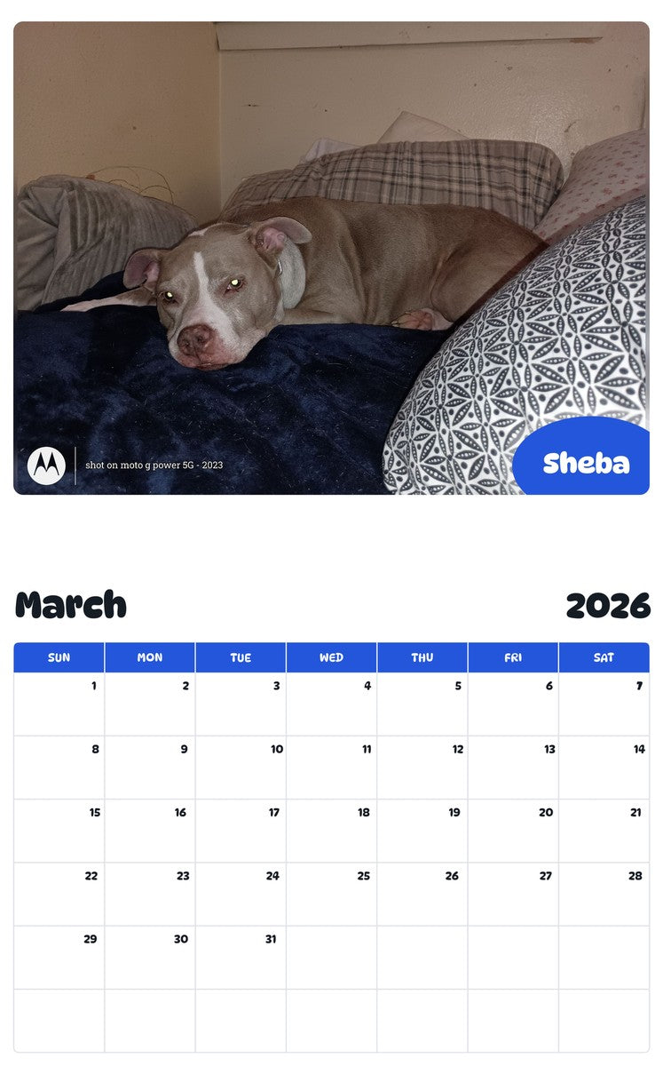 November 2025 - October 2026 Sheba - Pawidols Pet Calendar