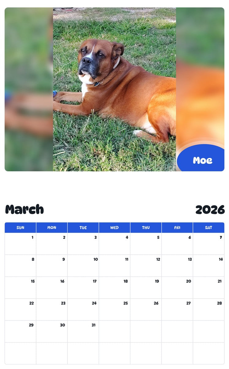 November 2025 - October 2026 Moe - Pawidols Pet Calendar