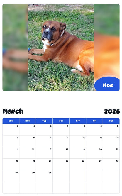 November 2025 - October 2026 Moe - Pawidols Pet Calendar