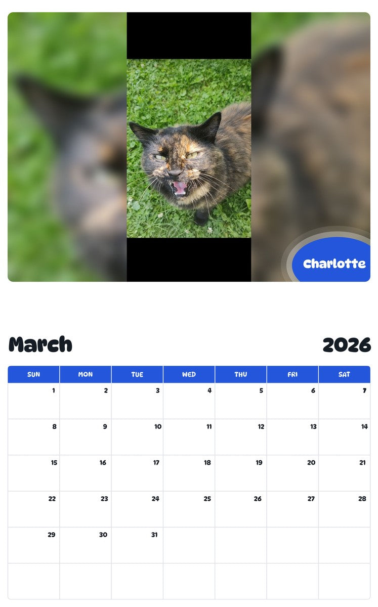 November 2025 - October 2026 Charlotte - Pawidols Pet Calendar
