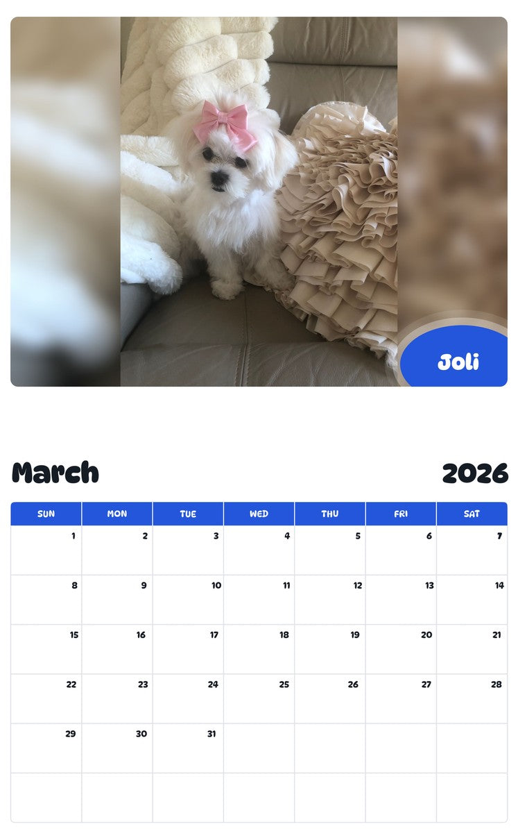 November 2025 - October 2026 Joli - Pawidols Pet Calendar