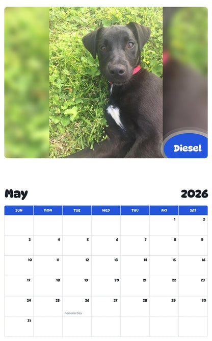 2026 - 2027 Diesel - Pawidols Pet Calendar