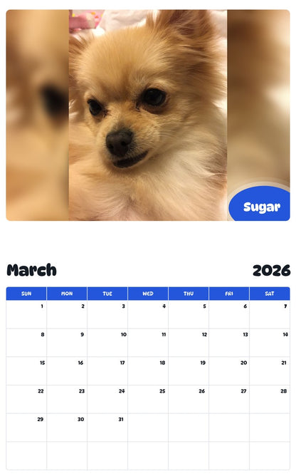 November 2025 - October 2026 Sugar - Pawidols Pet Calendar