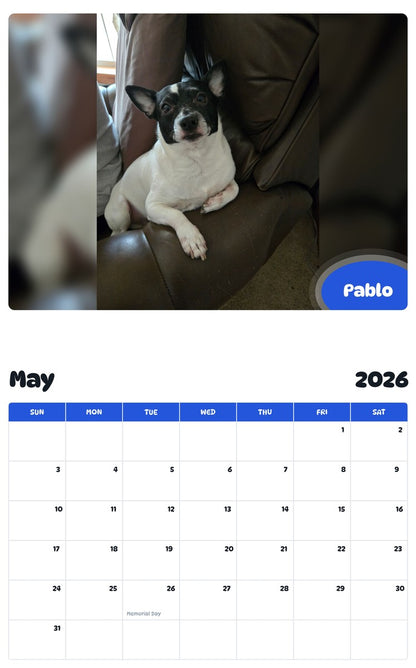 2026 - 2027 Pablo - Pawidols Pet Calendar