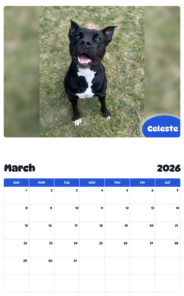 November 2025 - October 2026 Celeste - Pawidols Pet Calendar