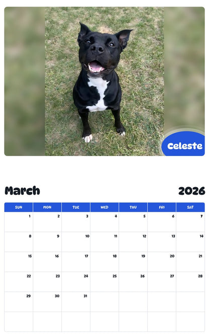 November 2025 - October 2026 Celeste - Pawidols Pet Calendar