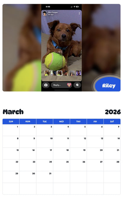November 2025 - October 2026 Riley - Pawidols Pet Calendar