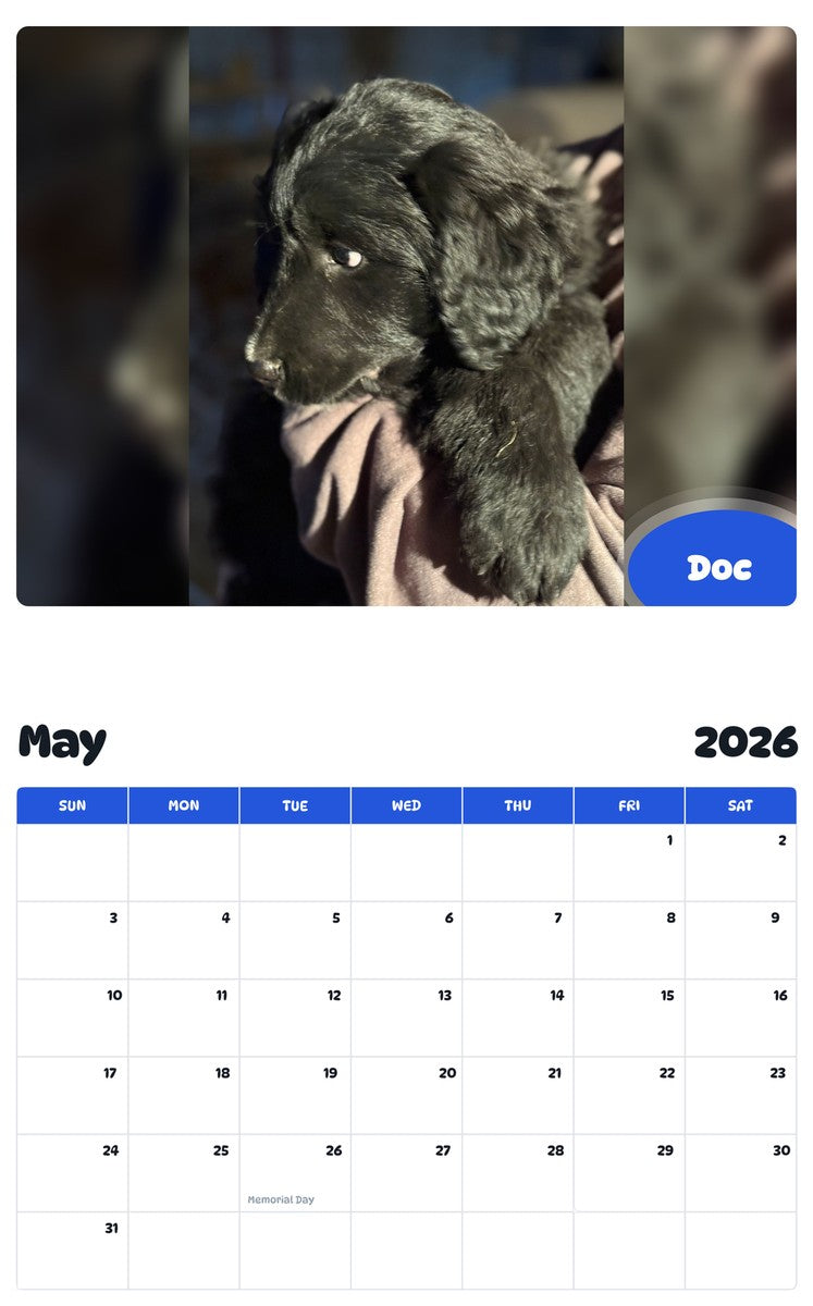 2026 - 2027 Doc - Pawidols Pet Calendar
