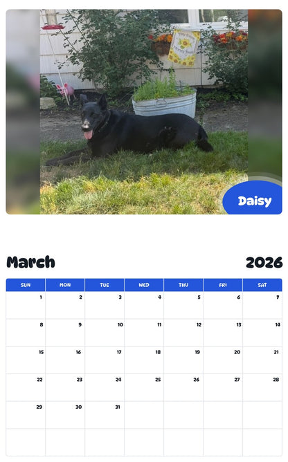 November 2025 - October 2026 Daisy - Pawidols Pet Calendar