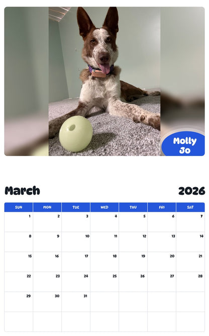 November 2025 - October 2026 Molly Jo - Pawidols Pet Calendar