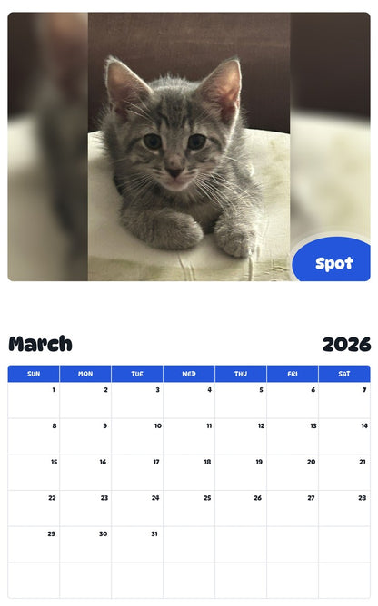 November 2025 - October 2026 Spot - Pawidols Pet Calendar