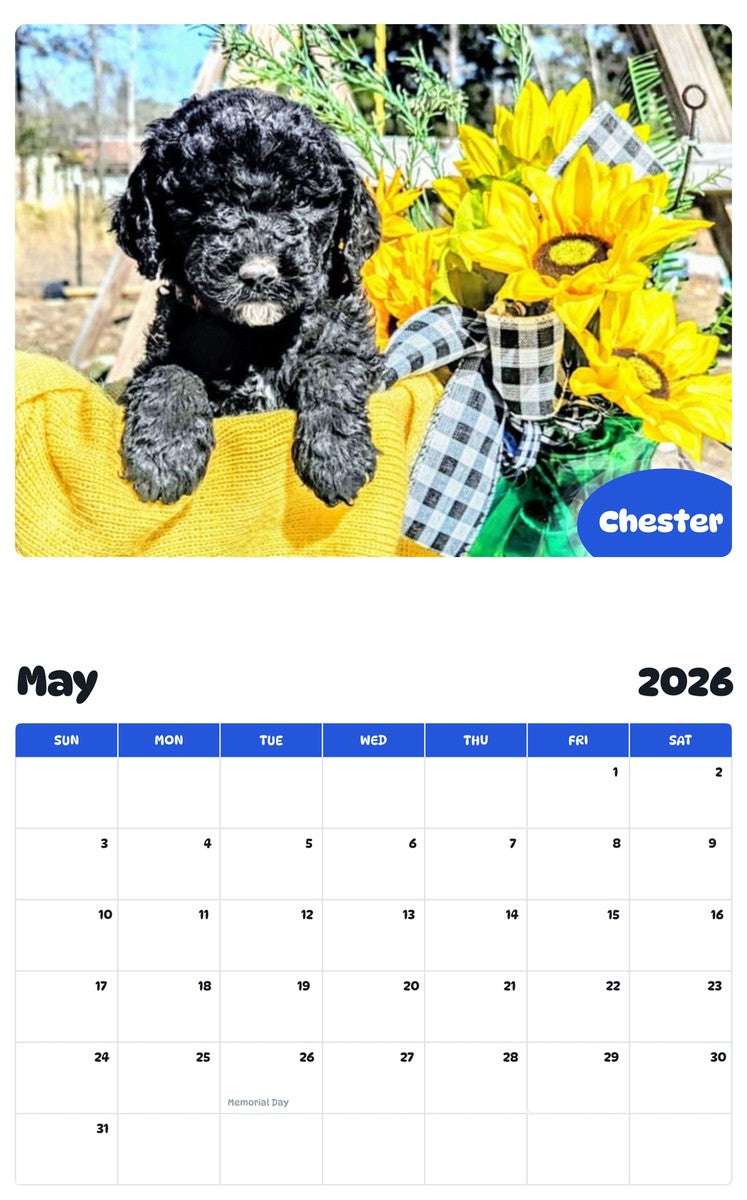 2026 - 2027 Chester - Pawidols Pet Calendar