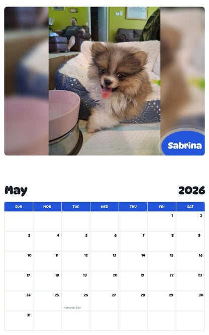2026 - 2027 Sabrina - Pawidols Pet Calendar