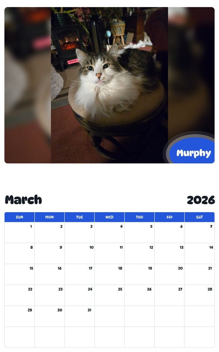 November 2025 - October 2026 Murphy - Pawidols Pet Calendar