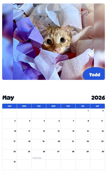 2026 - 2027 Todd - Pawidols Pet Calendar