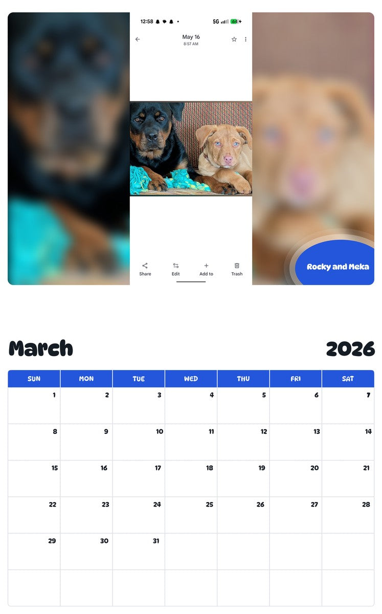 November 2025 - October 2026 Rocky and Meka - Pawidols Pet Calendar