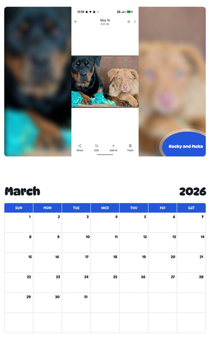 November 2025 - October 2026 Rocky and Meka - Pawidols Pet Calendar