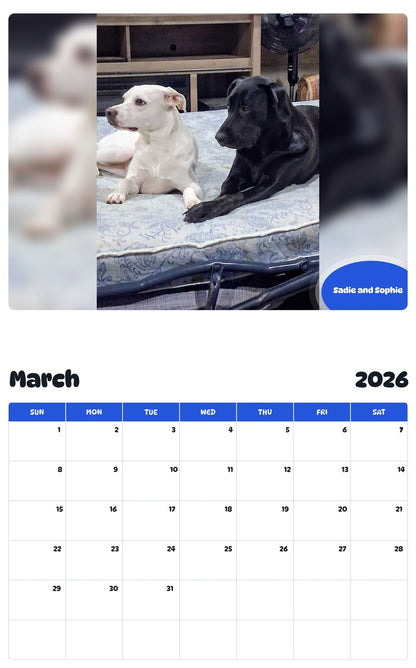 November 2025 - October 2026 Sadie and Sophie - Pawidols Pet Calendar