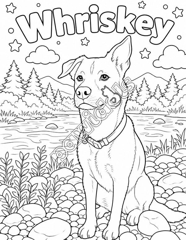 Coloring page 16