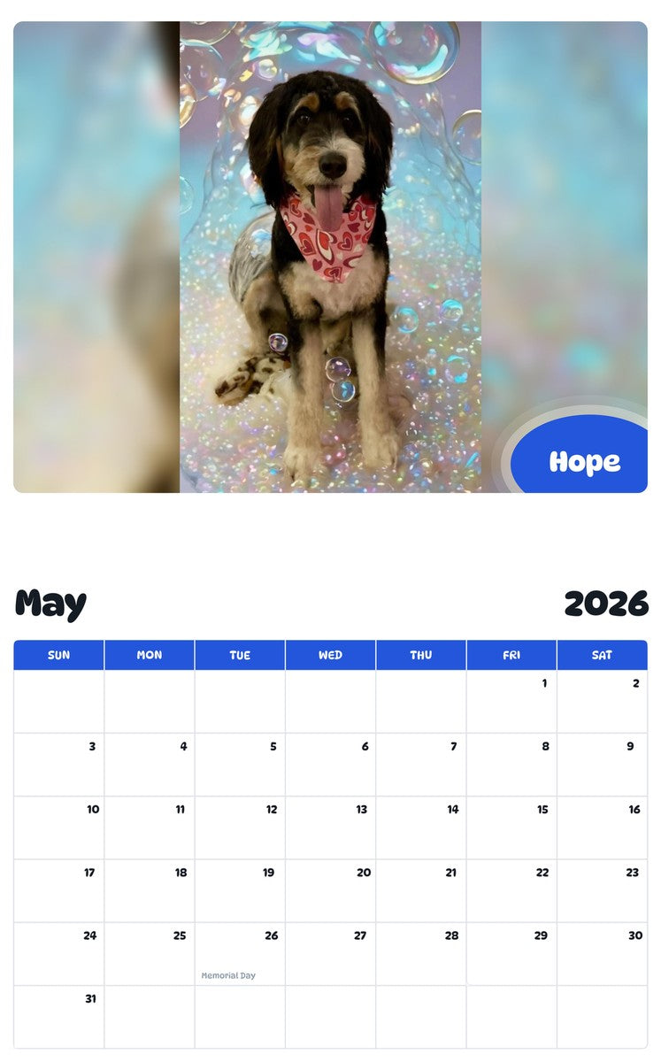 2026 - 2027 Hope - Pawidols Pet Calendar