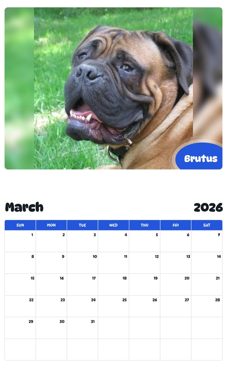 November 2025 - October 2026 Brutus - Pawidols Pet Calendar