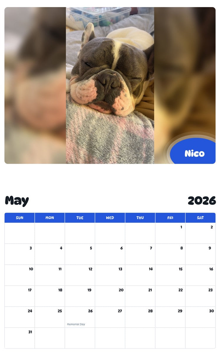 2026 - 2027 Nico - Pawidols Pet Calendar