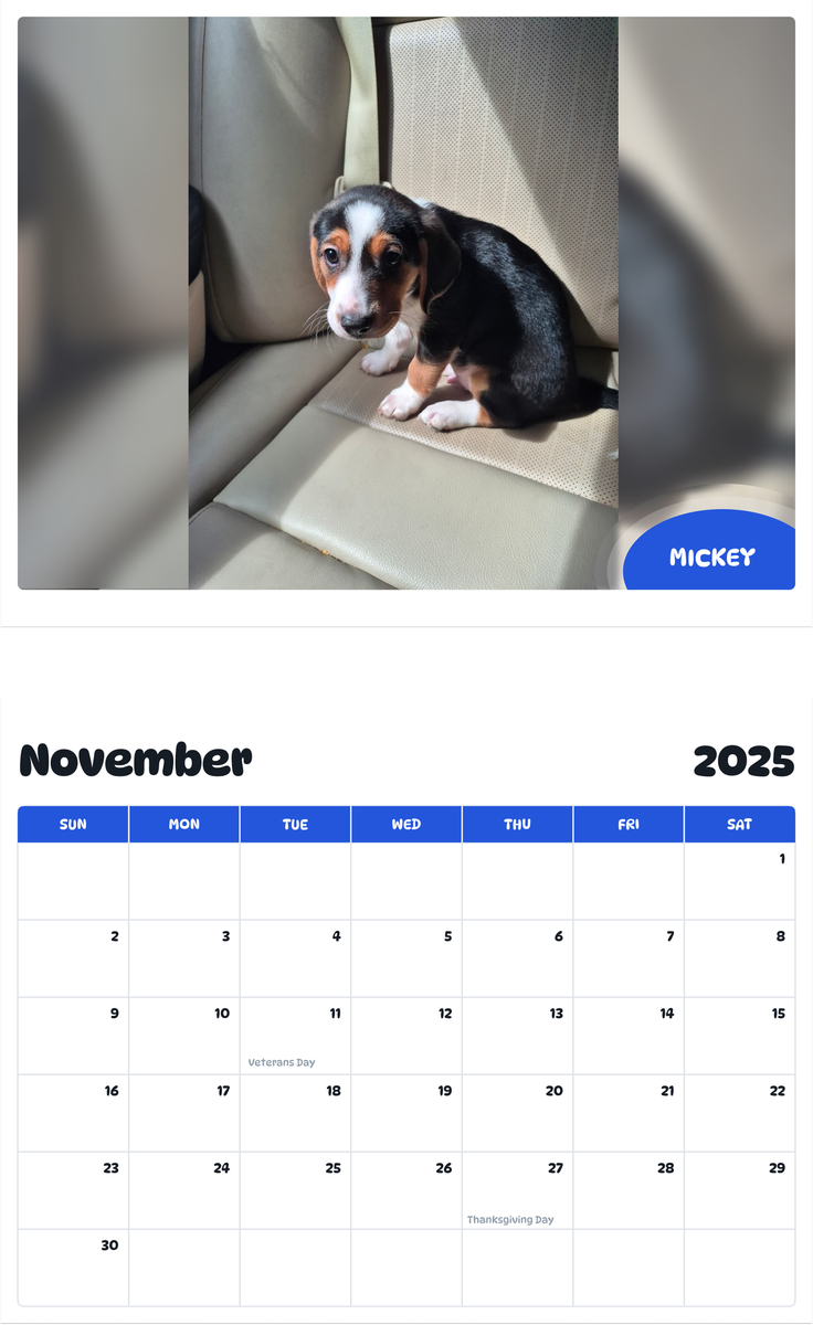 July 2025 - June 2026 Mickey - Pawidols Pet Calendar