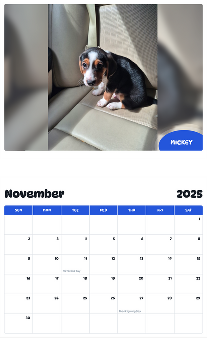 July 2025 - June 2026 Mickey - Pawidols Pet Calendar