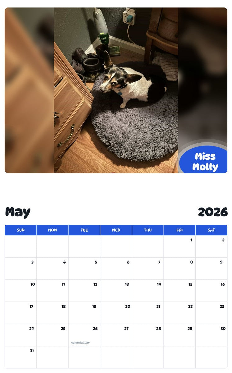 2026 - 2027 Miss Molly - Pawidols Pet Calendar
