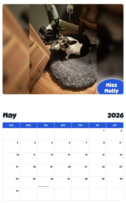 2026 - 2027 Miss Molly - Pawidols Pet Calendar