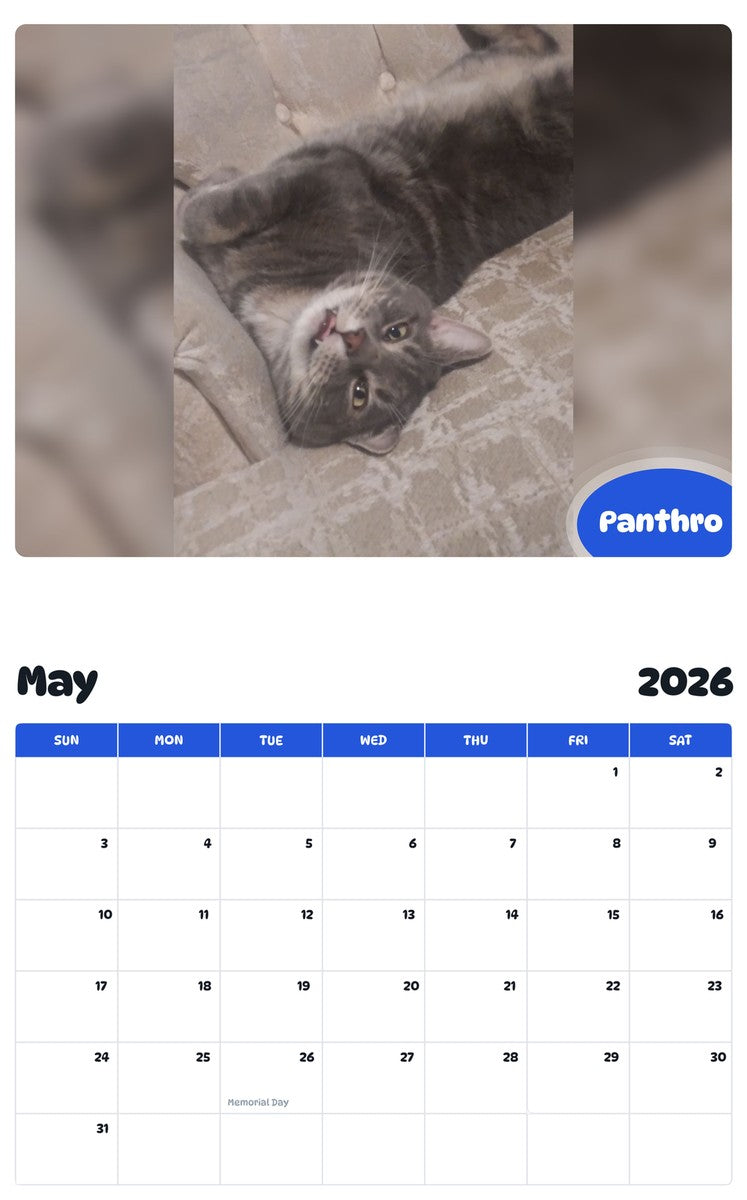 2026 - 2027 Panthro - Pawidols Pet Calendar