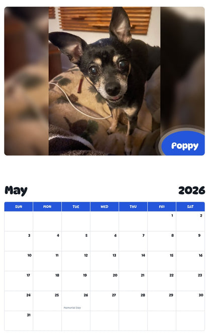 2026 - 2027 Poppy - Pawidols Pet Calendar
