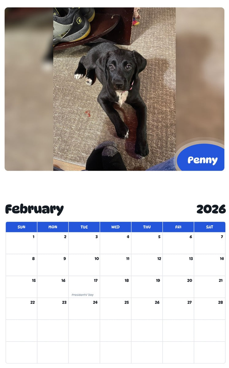 October 2025 - September 2026 Penny - Pawidols Pet Calendar